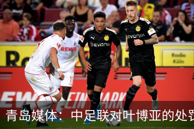 青岛媒体：中足联对叶博亚的处罚有些过重，海牛夏窗需引援